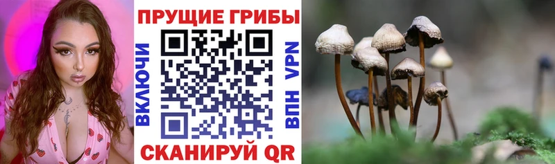 блэк спрут зеркало  Волжск  Галлюциногенные грибы мухоморы 