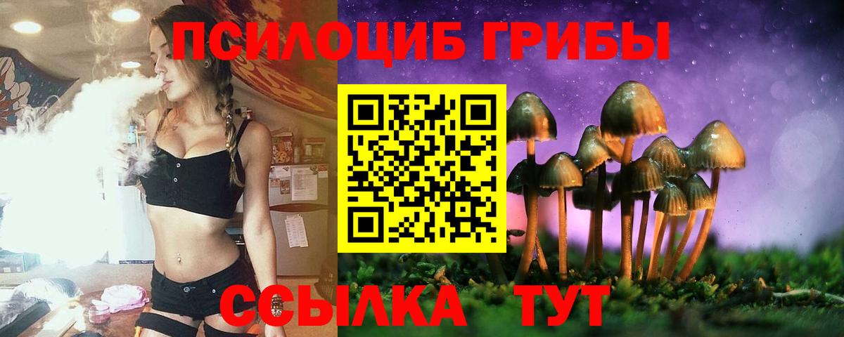 продажа наркотиков  Галлюциногенные грибы MAGIC MUSHROOMS  Вход с VPN  Волжск 